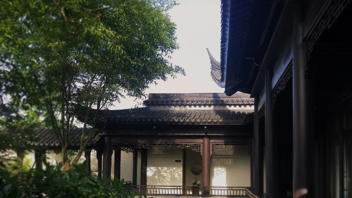 效果图