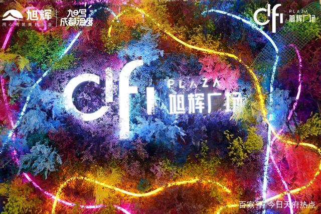效果图