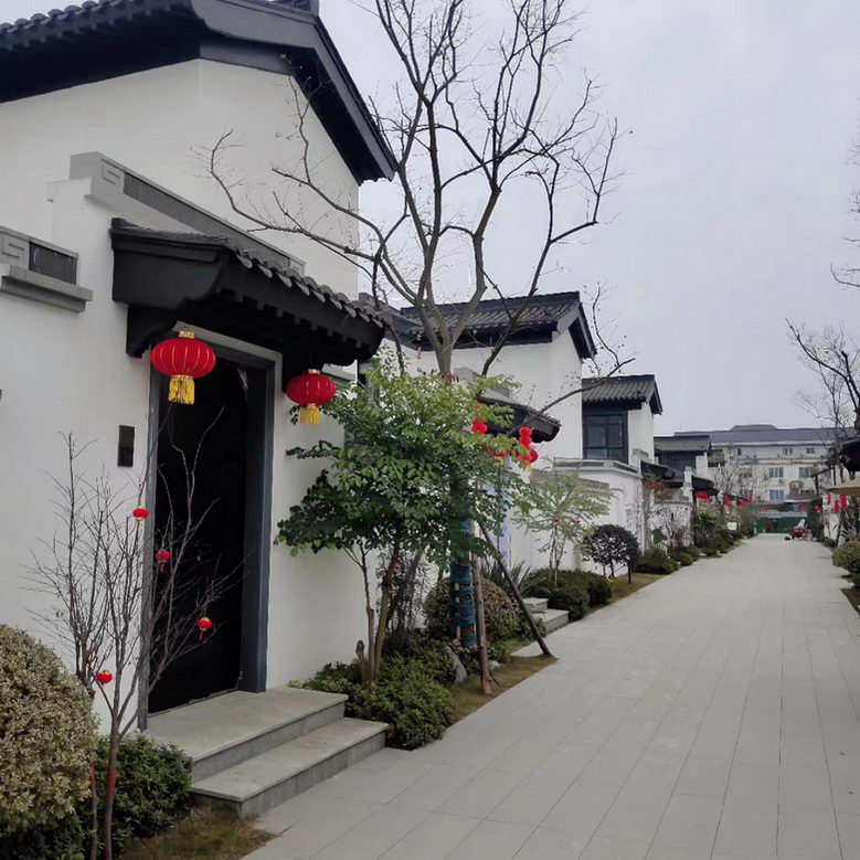 效果图