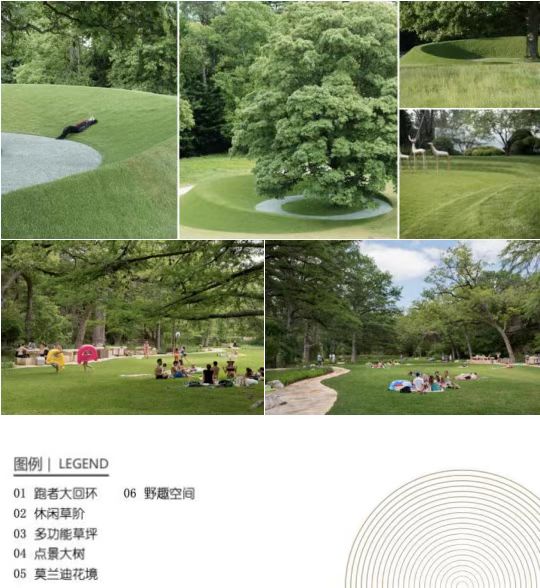 效果图