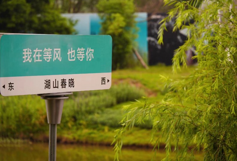 效果图