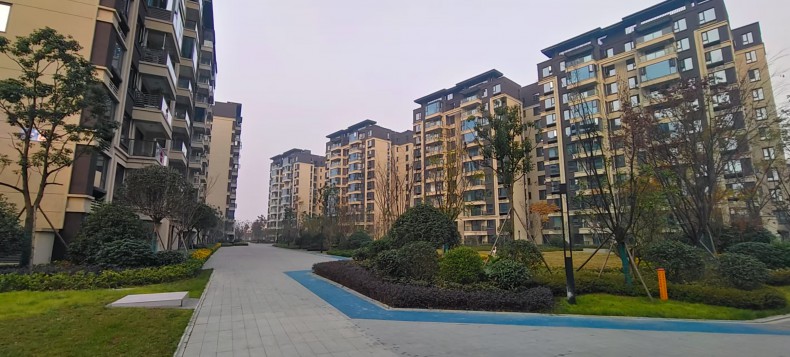 效果图