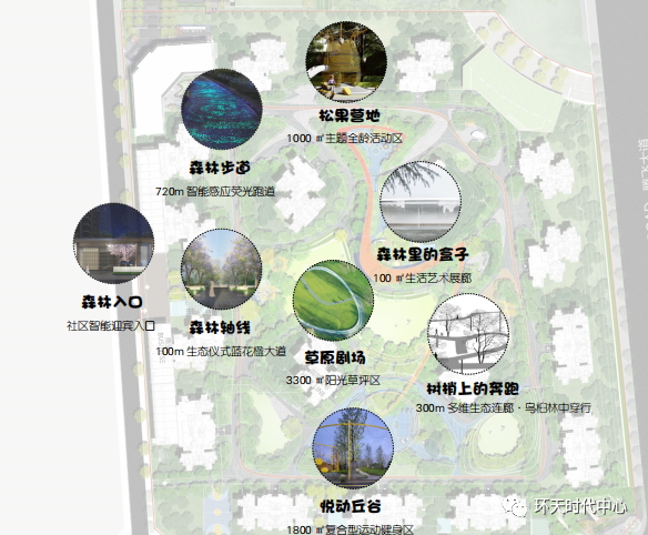 效果图