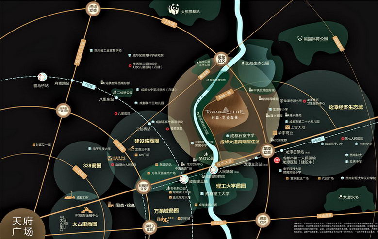 效果图