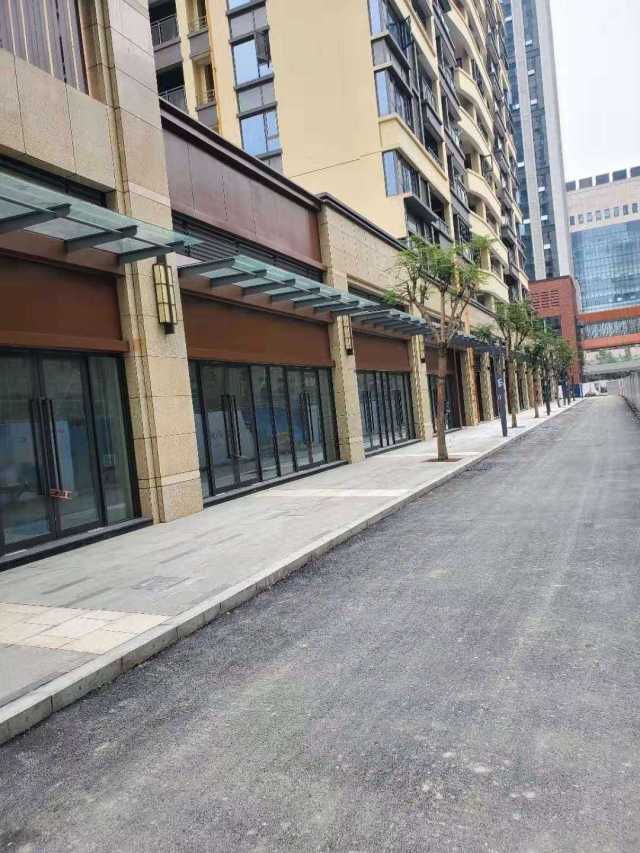 效果图