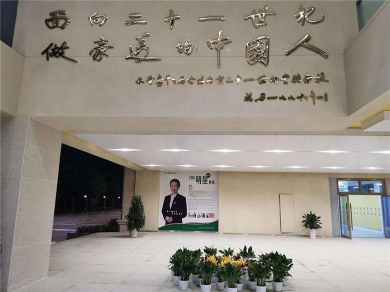 效果图