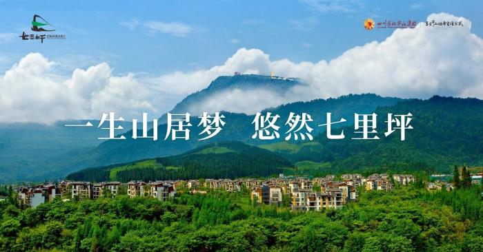 效果图